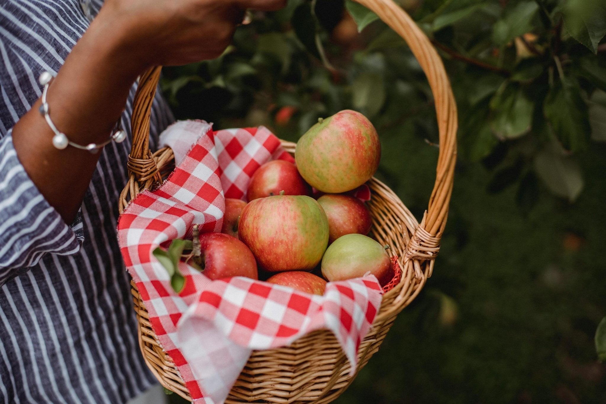 How Does Apple Cider Vinegar Work for Wellness? - TuttiBear